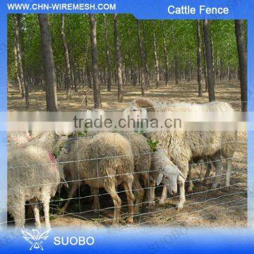 Standard Welded Knitted Wire Mesh Fence Metal Wire Mesh Cattle Fence Panels Factory