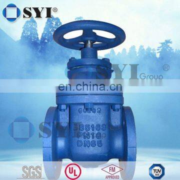 jacket gate valve - SYI GROUP