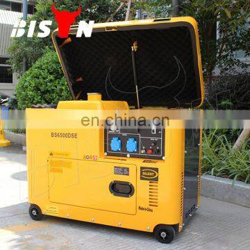 BISON China OEM/ODM High Quality 5kW Silent Diesel Generator