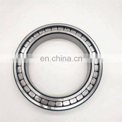 Full Complement Cylindrical Roller Bearing SL19 2238 SL192238