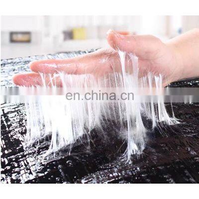 Factory Wholesale High Quality Sticky Mouse Magic Carpet Shopping Malls Hotels Household Universal Mouse Trapping Magic