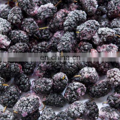 Healthy Taste Good Frozen Mulberry Freeze Mulberry photo-5