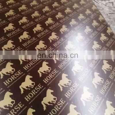 Cheap plywood Construction timber plywood film faced plywood 1220*2440*18mm Phenolic Board