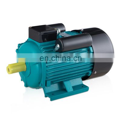 Electric 3Hp 3000rpm Single Phase Capacitor Start Induction Motor