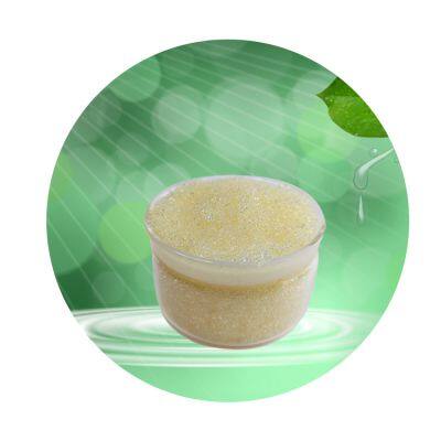 Cation Exchange Particle in Ion Exchange Resin for Ultrapure Water Preparation Resin