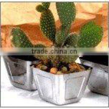 2016 New Stainless Steel Garden Modern Flowerpot photo-6