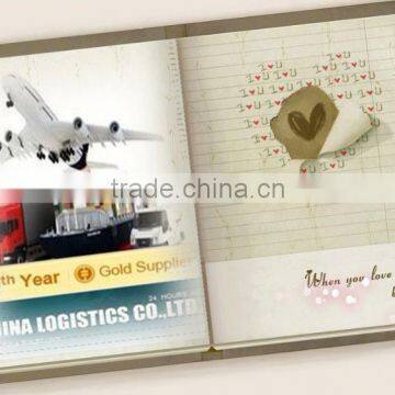 lcl shipping from china to australia canada uae usa---Sangni