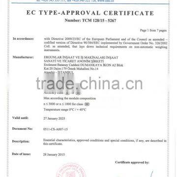 Big Campaign From Ergunlar Construction Inc. for 2016 - 3 X 18 MT Electronic/Digital/Steel Platform Truck Scale/Weighbridge photo-6