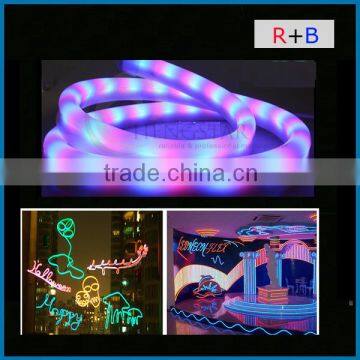 5M 300LEDs 24V 12V LED Neon Flex Digital Programmable RGB Mini Led Neon Flex photo-4