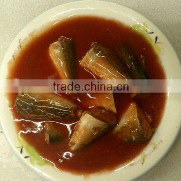 canned mackerel in tomato sauce from China