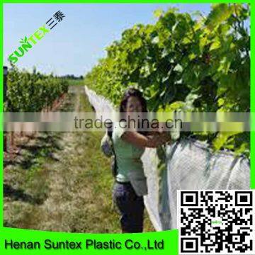 reused virgin HDPE vineyard bird sail/plastic bird mist net for sale