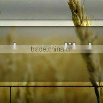 3 Inch Car Dvd With Touch Screen, With USB/SD, AM/FM Private Tooling photo-4