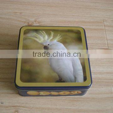 parrot picture printing metal rectangular cookie tin box