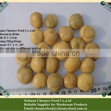 Brined Mushrooms Supplier