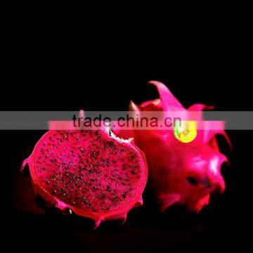 Frozen Red Dragon Fruit Puree photo-2