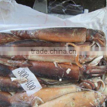 Frozen Argentina Squid