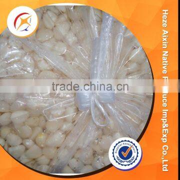 Garlic Cloves in Brine