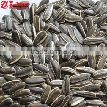 Raw Sunflower Seeds from Inner Mongolia