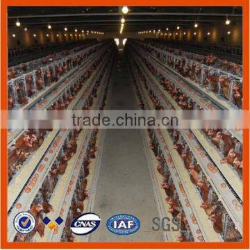 layer chicken battery cage chicken farms