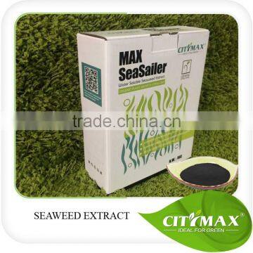 Hot Sale Natural Seaweed Organic Fertilizer