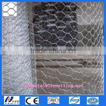 China Anping Hexagonal Wire Mesh Supplier(Direce factory ,ISO 9001 certificate)