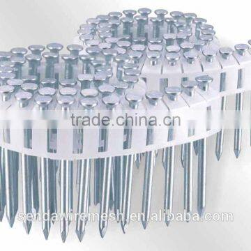 Common Nails/roofing Nails /iron Nails photo-5