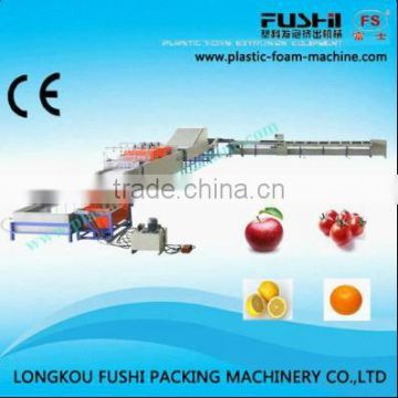 Electronic Fruit & Vegetable Washing Waxing and Grading Machine