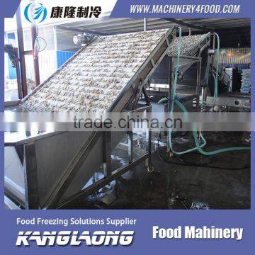 Small Fish Grading Machine photo-2