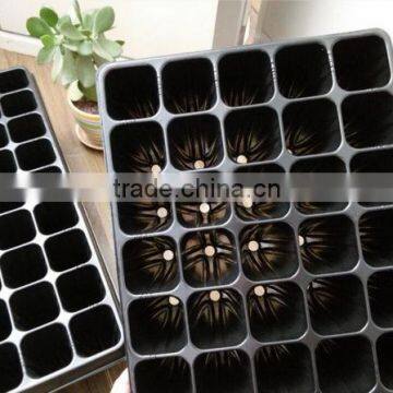 Newest Crazy Selling Black Seedling Tray photo-4