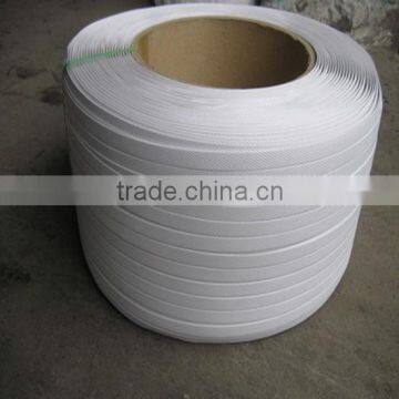 Colour PET Packing Belt photo-6