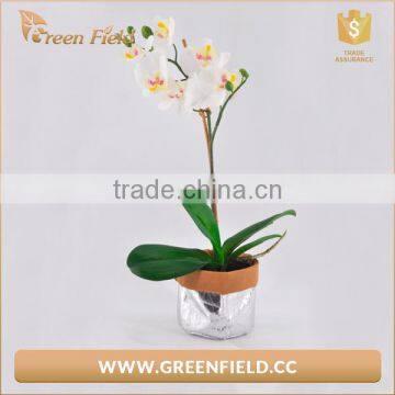 Green Field Washable Kraft Paper Storage Bag waterproof planter bag