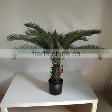 decorative sago cycas cycas revoluta artificial high simulation cycads plant