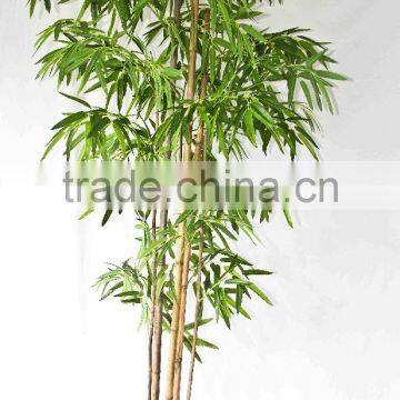 Office Decorative Green Plants photo-5