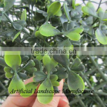 Anti-UV Grass Carpet , Artificial Milan Grass for Wholesale photo-5