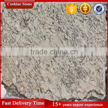 Natural Blue Ice Granite Slab photo-2