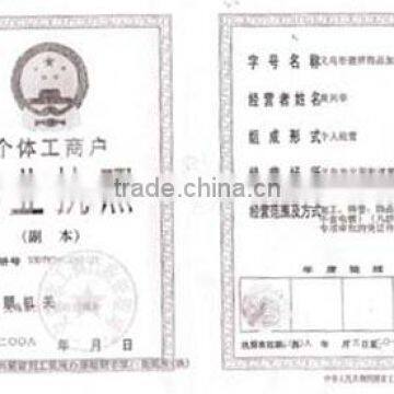 Business License