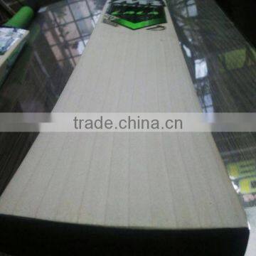 MB Malik Lala Edition English Willow Cricket Bat photo-2