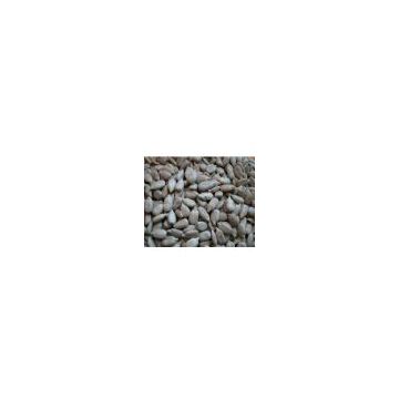 Sunflower Seed Kernel-Confectionery Grade