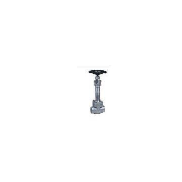 Forged steel A105 cryogenic globe valve(sale@bjvalves.com)