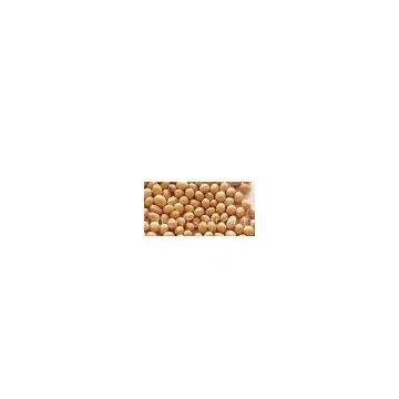 Soy bean Extract 40% Isoflavines