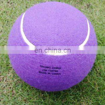 Cheap Purple tennis ball for dog