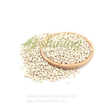 Organic Navy White Kidney Bean photo-3