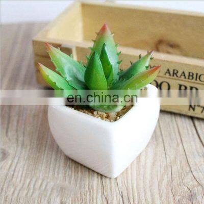 Home Decor Artificial Suculentas Natural Faux Plants Supplier Ornamental Handmade Ceramic Pots With Plastic Succulent Plants
