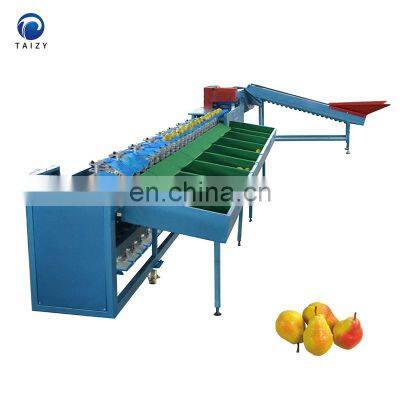 Automatic Apple Orange Tomato Avocado Potato Grader Fruit Sorting Machine