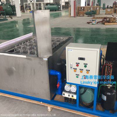 2 Ton 304 Stainless Steel Tank Block Ice Small Size Ice Block Making Machine photo-5