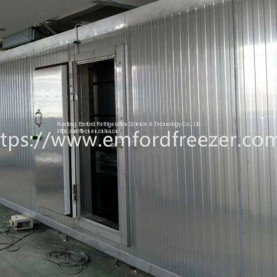 Mesh Belt Tunnel Freezer for Shrimp, Poultry, Meat, Pastry, Pasta, French Fries photo-5