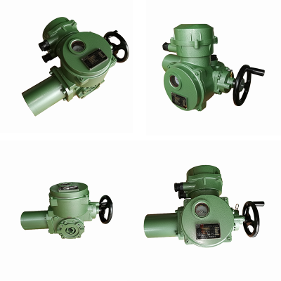 Electric Rotary Actuator Type DZW30 Manufacturers Motorize Valve Actuator