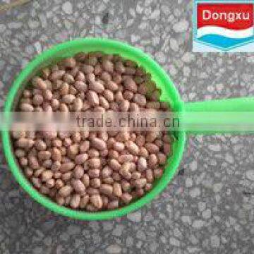 groundnut kernels peanuts