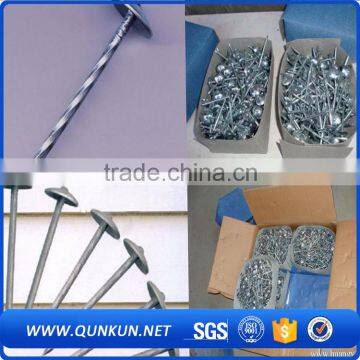 Umbrella Galvanized Twist Shank Roofing Nails photo-6