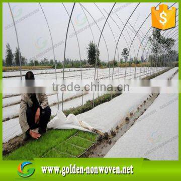 1-4% UV Resistant 17-19gsm White Color Agriculture PP Spunbond Nonwoven Fabric for Sun Resistant Fabric photo-6